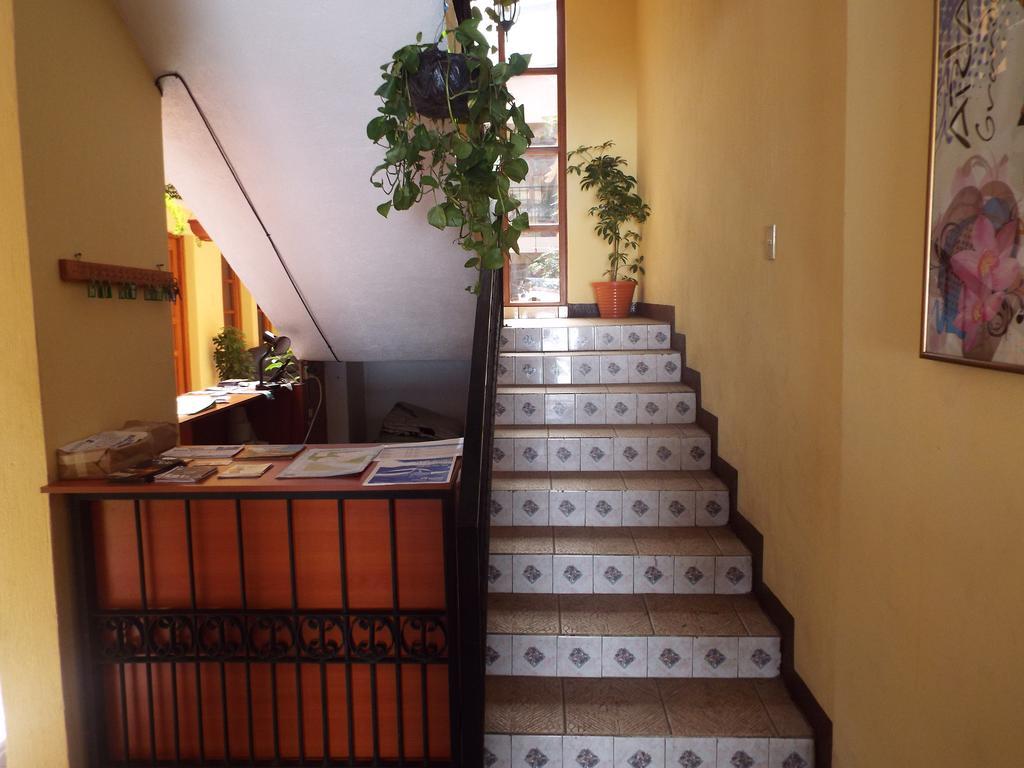 Hotel Kasa Kamelot كويتزالتنانغو المظهر الخارجي الصورة