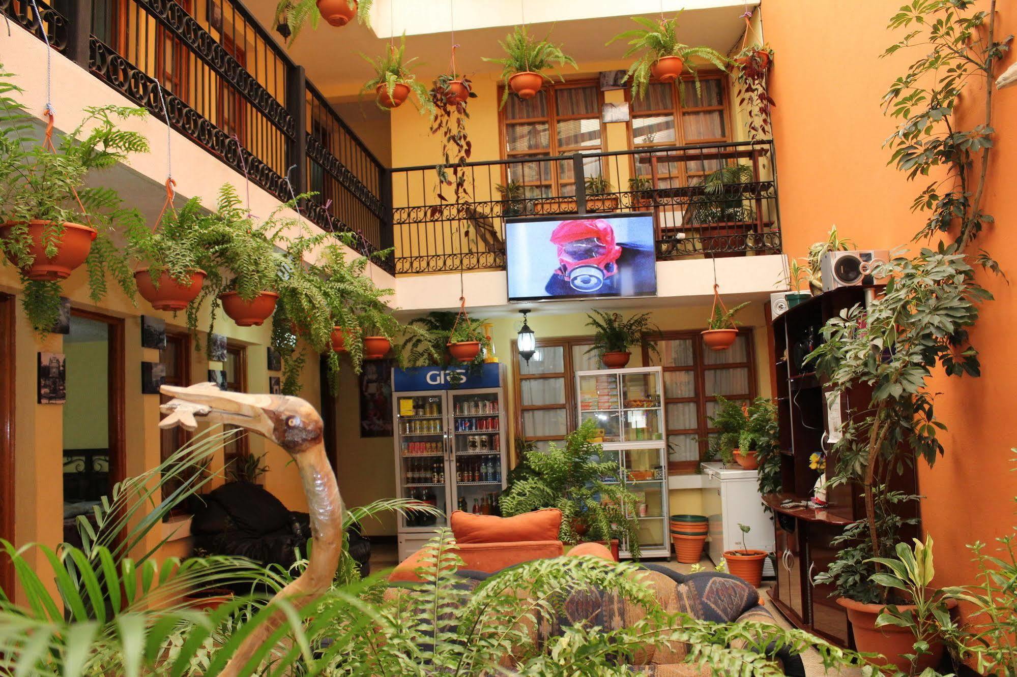 Hotel Kasa Kamelot كويتزالتنانغو المظهر الخارجي الصورة