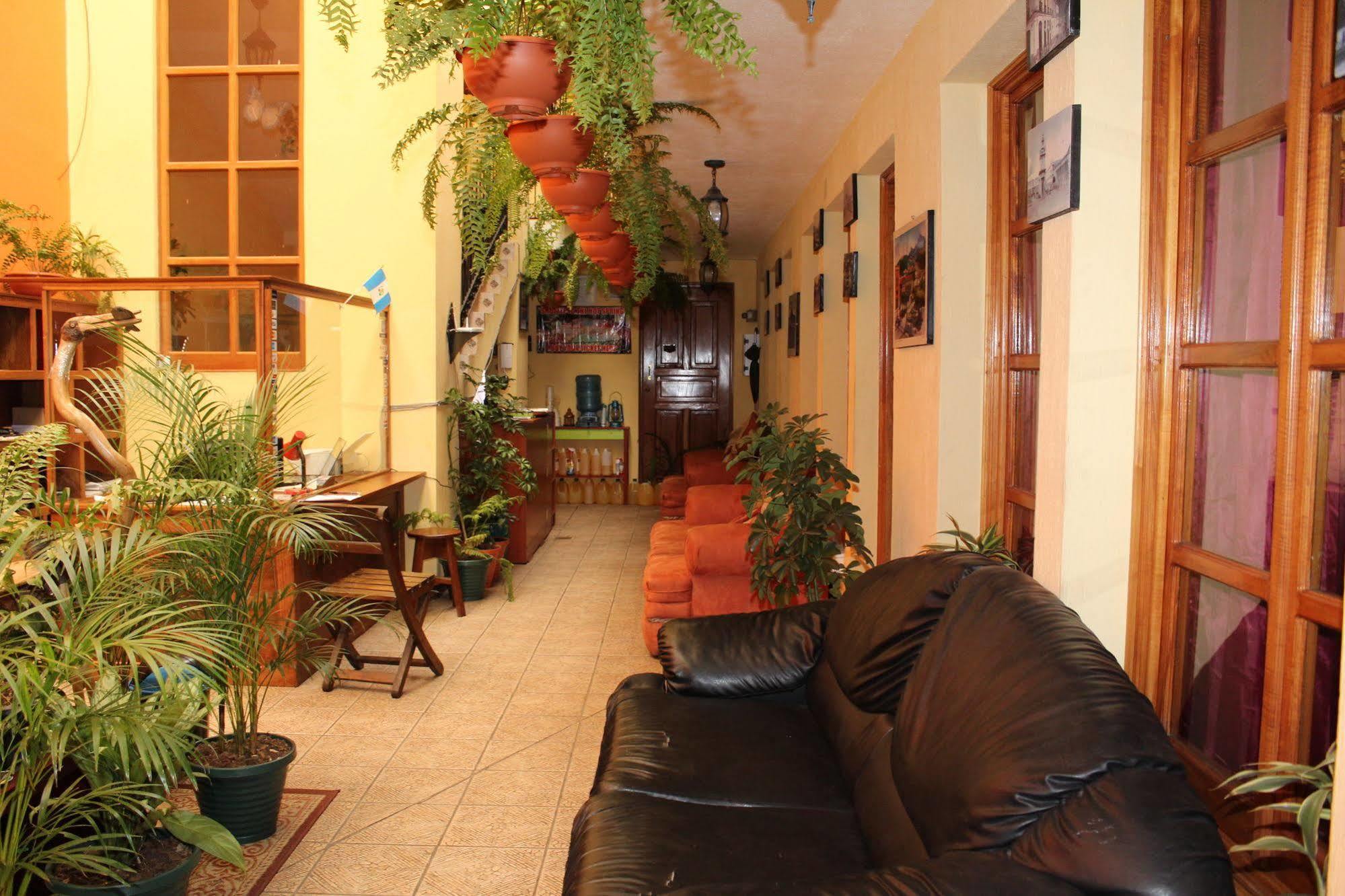 Hotel Kasa Kamelot كويتزالتنانغو المظهر الخارجي الصورة