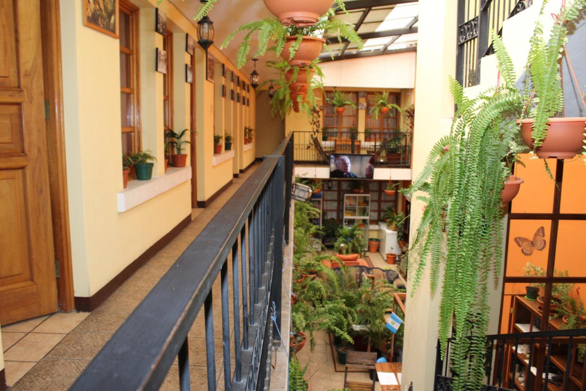 Hotel Kasa Kamelot كويتزالتنانغو المظهر الخارجي الصورة